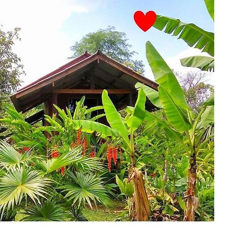 Pencave Homestay Pang Mapha المظهر الخارجي الصورة
