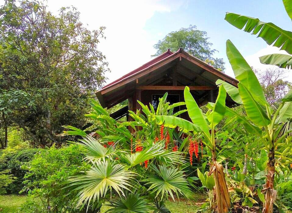 Pencave Homestay Pang Mapha المظهر الخارجي الصورة