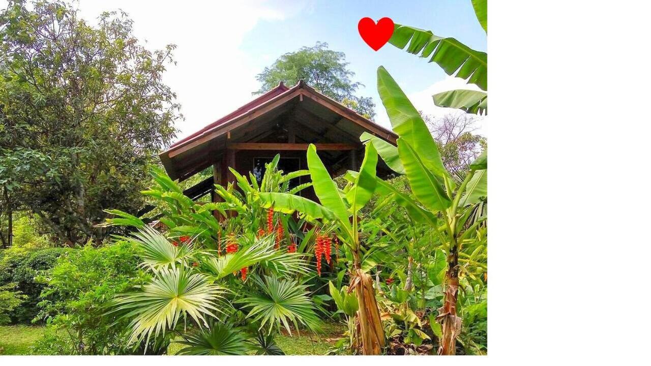 Pencave Homestay Pang Mapha المظهر الخارجي الصورة