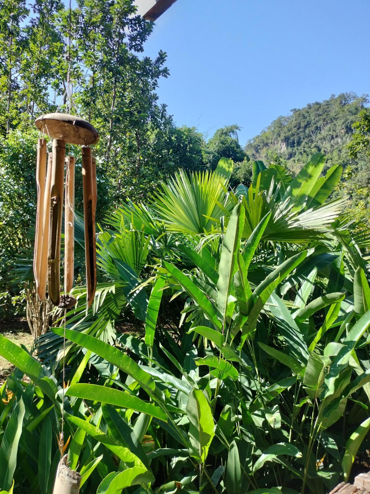 Pencave Homestay Pang Mapha الغرفة الصورة